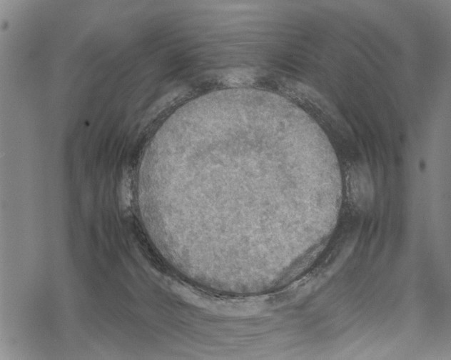 X0000067480032200605051724