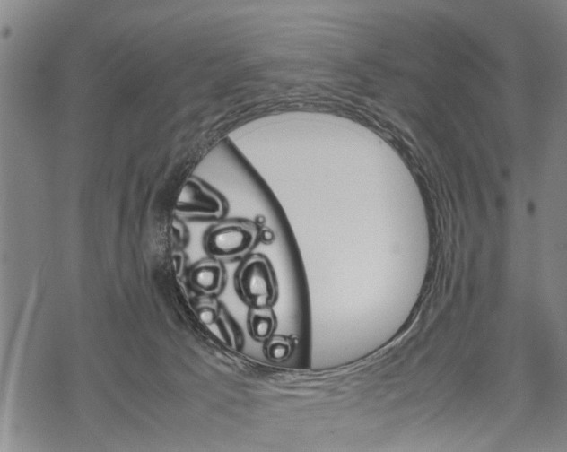 X0000067480033200605051724