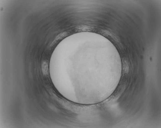 X0000067480036200605051723