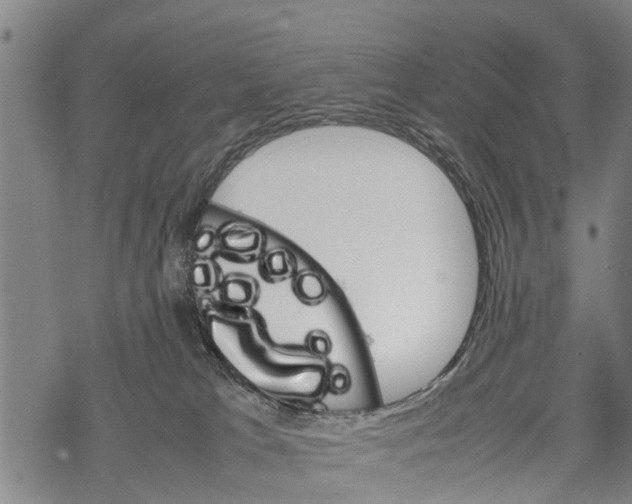 X0000067480037200605051723