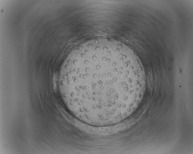 X0000067480038200605051723