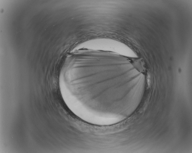 X0000067480039200605051723