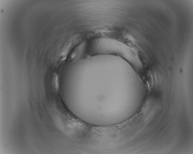 X0000067480041200605051723