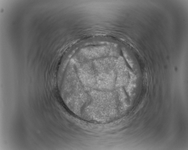 X0000067480043200605051723