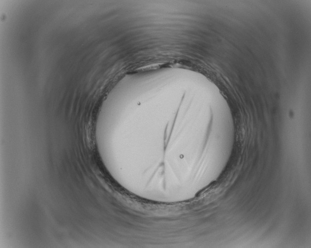 X0000067480044200605051723