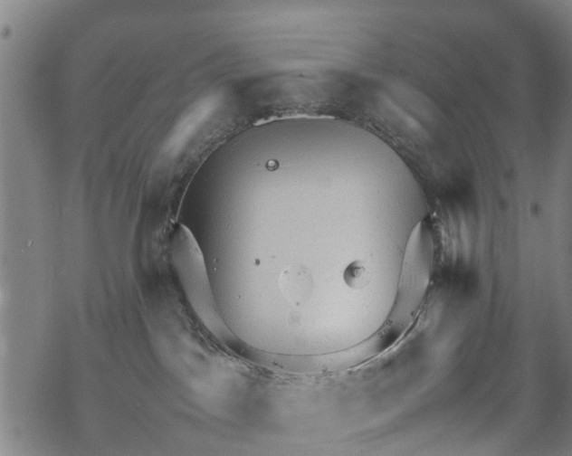 X0000067480045200605051723