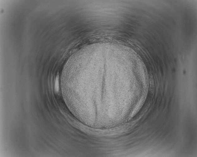 X0000067480046200605051723