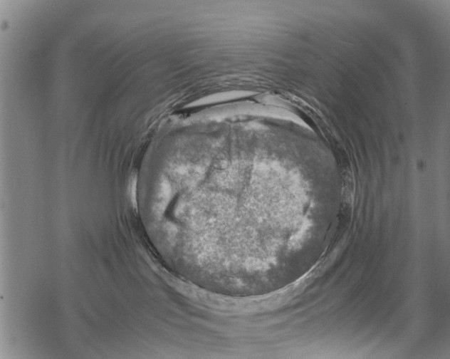 X0000067480047200605051723