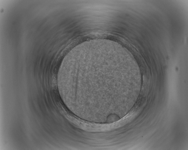 X0000067480048200605051723