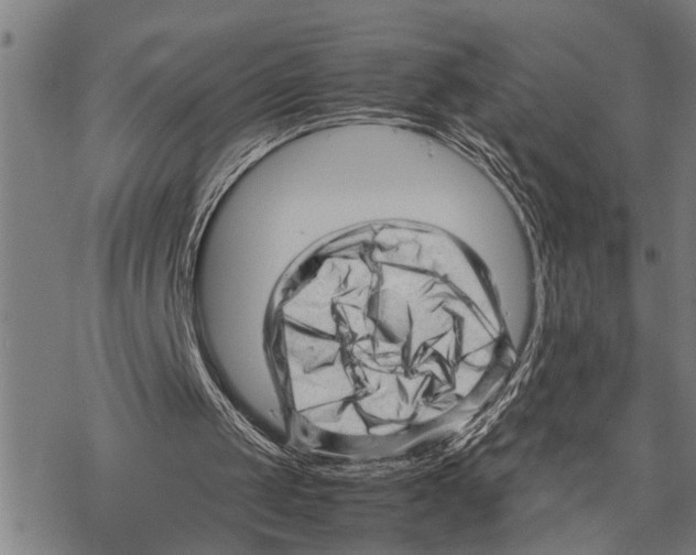 X0000067480049200605051723