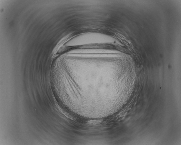 X0000067480051200605051723