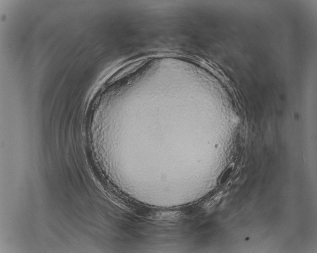 X0000067480055200605051723