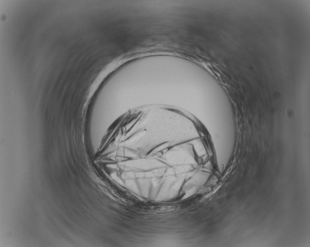 X0000067480056200605051723