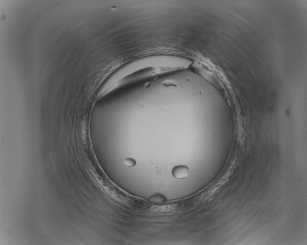 X0000067480057200605051723