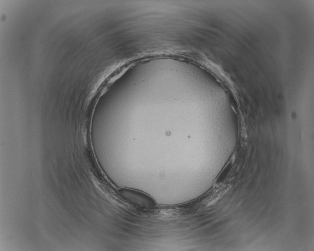 X0000067480060200605051723