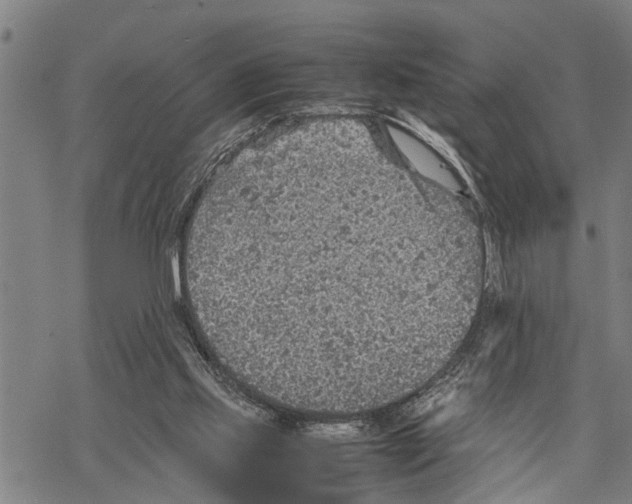 X0000067480061200605051723