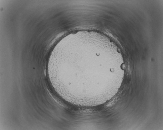 X0000067480062200605051723