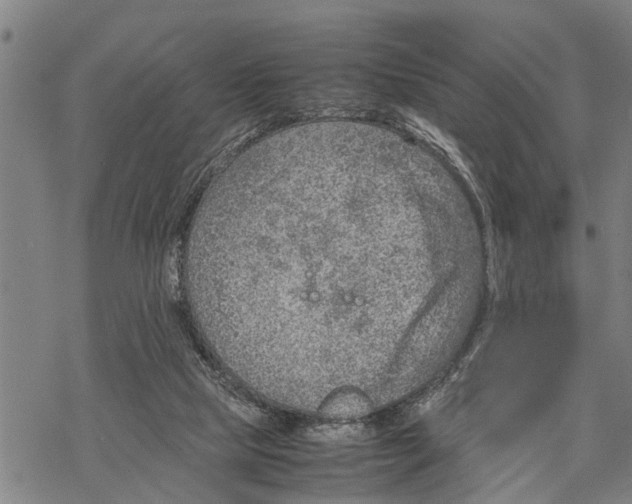 X0000067480065200605051723