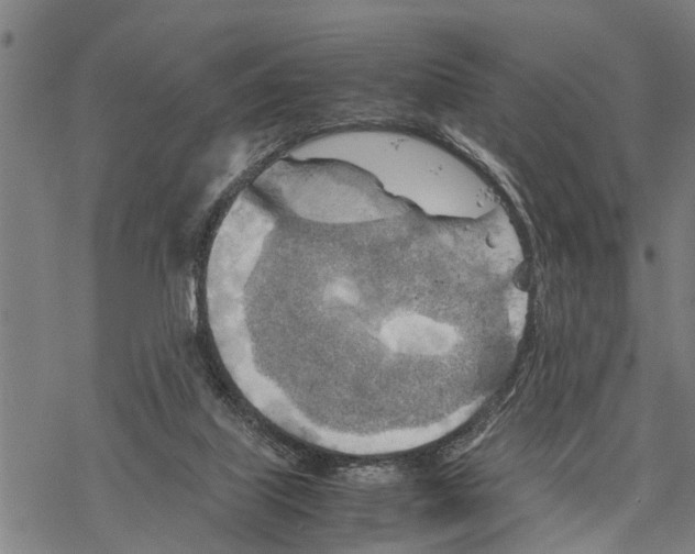 X0000067480067200605051723