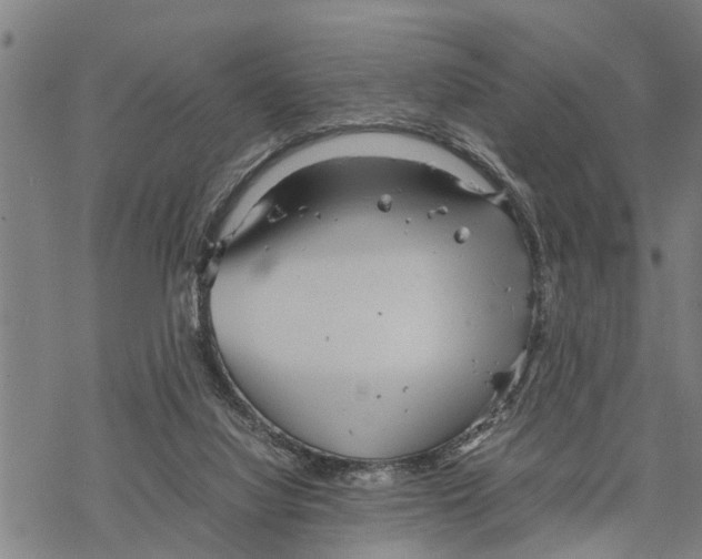 X0000067480068200605051723