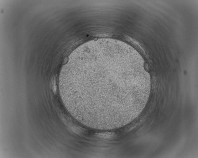 X0000067480069200605051723