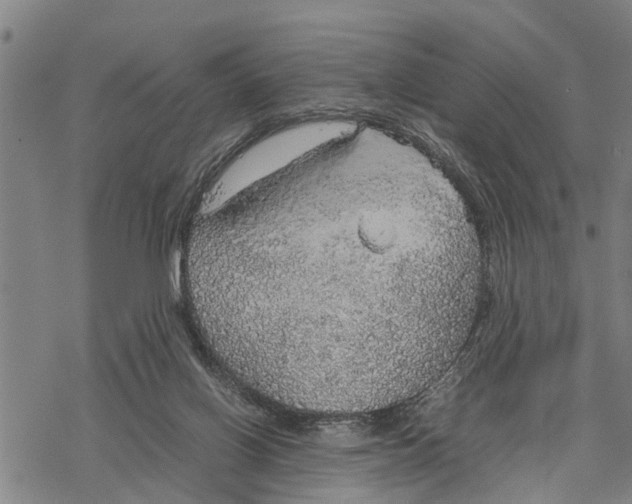 X0000067480070200605051723