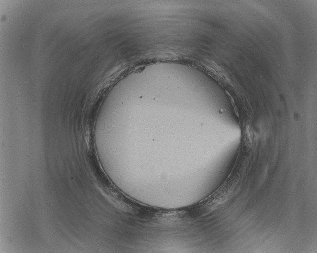 X0000067480072200605051723