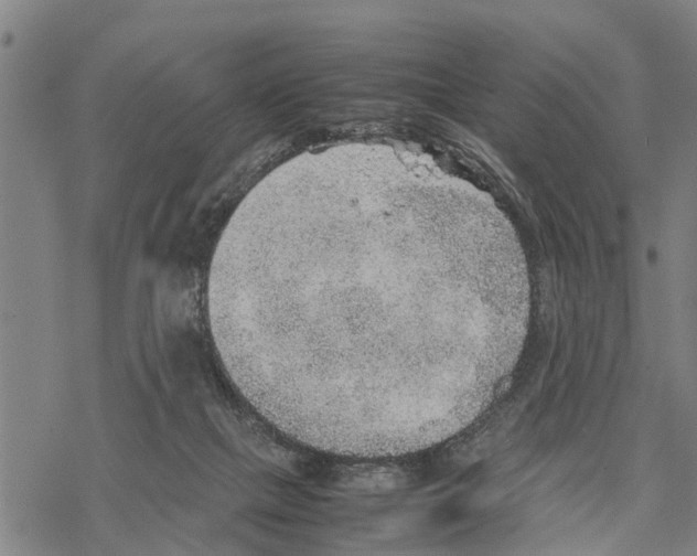 X0000067480073200605051723