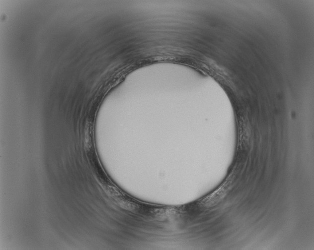 X0000067480074200605051723