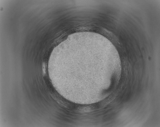 X0000067480075200605051723