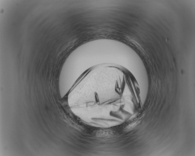 X0000067480077200605051723