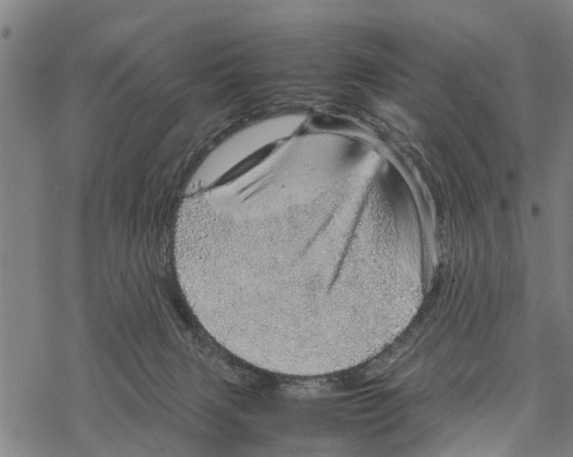 X0000067480079200605051723