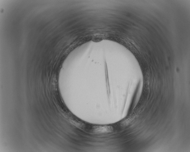 X0000067480083200605051723