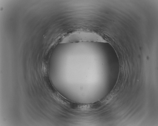 X0000067480084200605051723