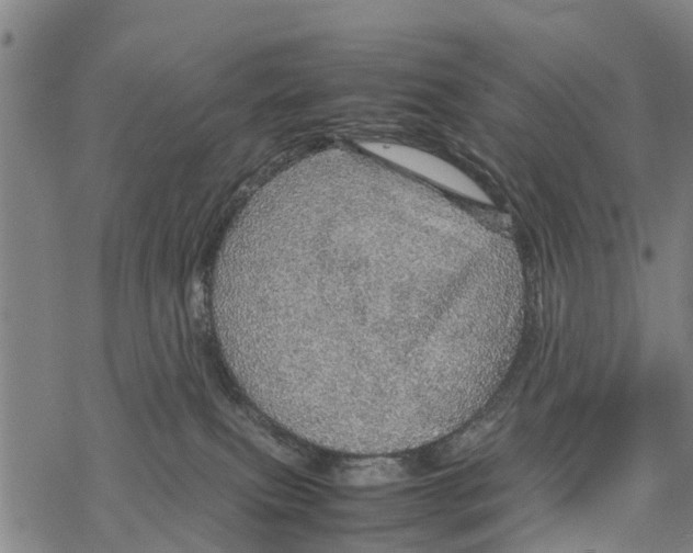 X0000067480087200605051723