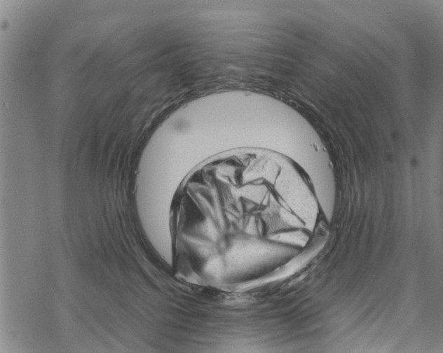 X0000067480088200605051723