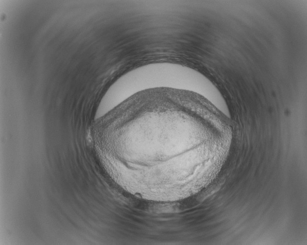 X0000067480089200605051723