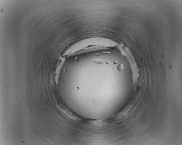 X0000067480092200605051723