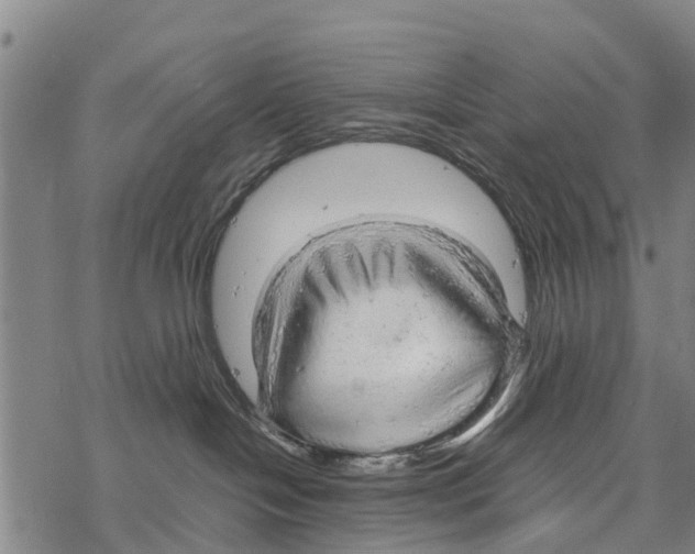 X0000067480094200605051723