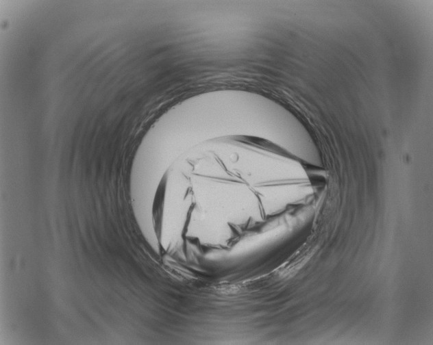 X0000067480096200605051723