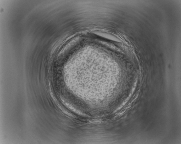 X0000067480097200605051722