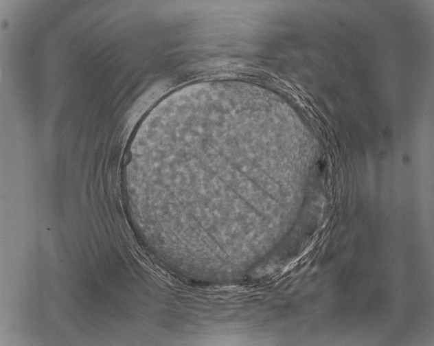 X0000067480099200605051722