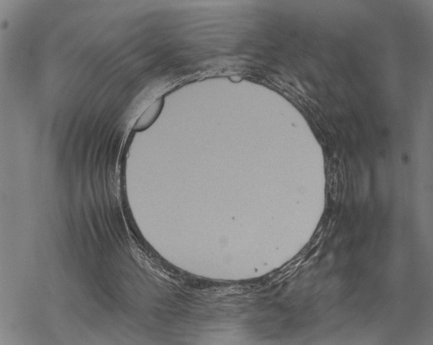 X0000067480100200605051722