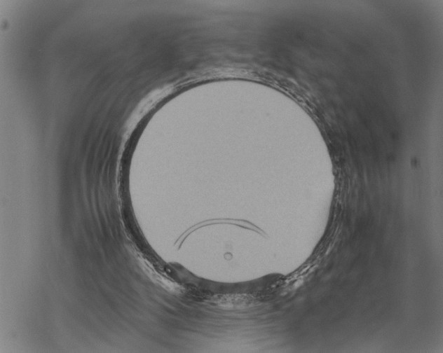 X0000067480104200605051722