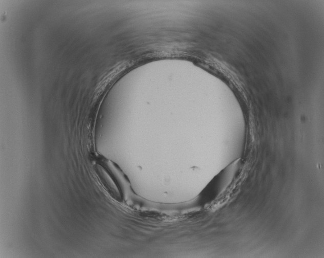 X0000067480105200605051722