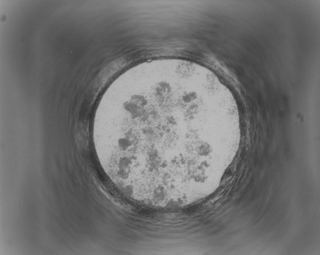 X0000067480107200605051722