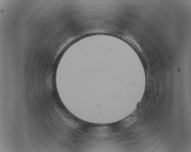 X0000067480108200605051722