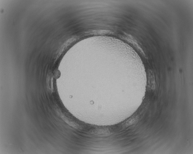 X0000067480110200605051722