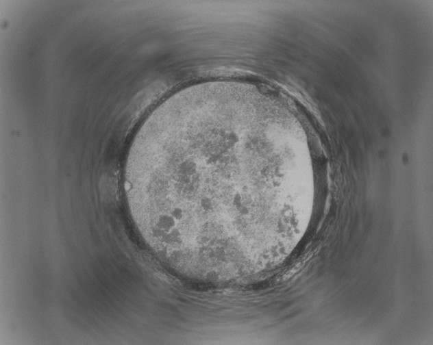 X0000067480111200605051722