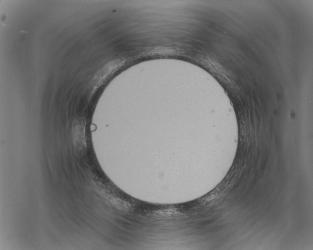 X0000067480112200605051722